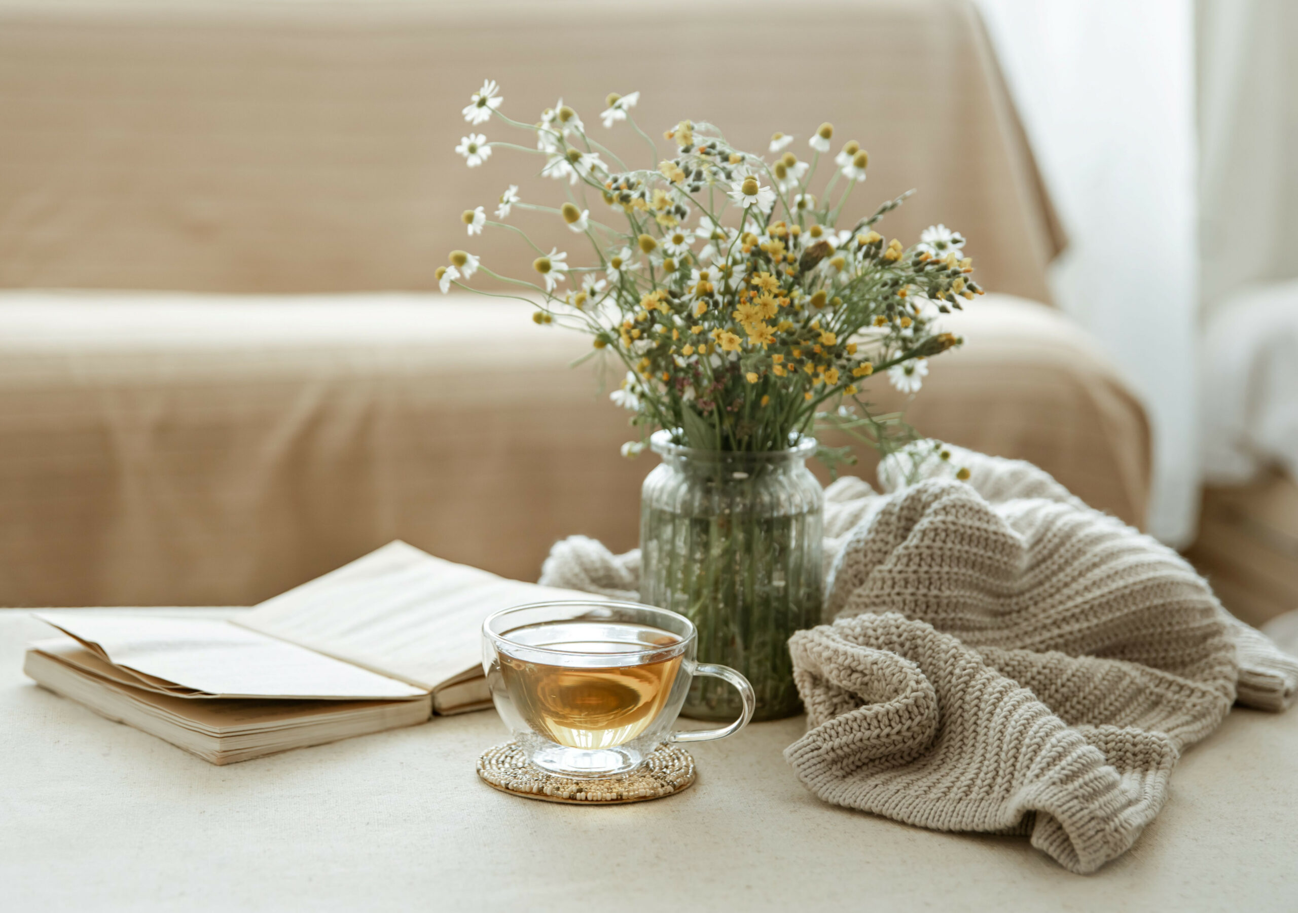 TD Voir tout 05 1 scaled - Accueil